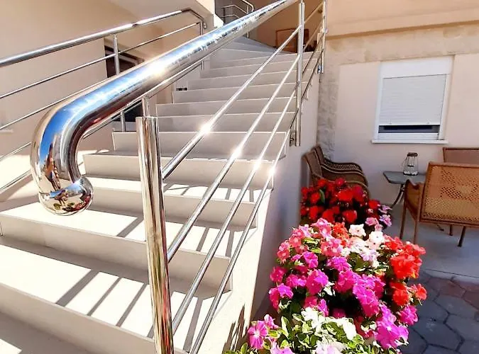 Vera 프리모스턴