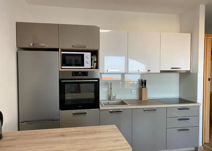 Vera 프리모스턴